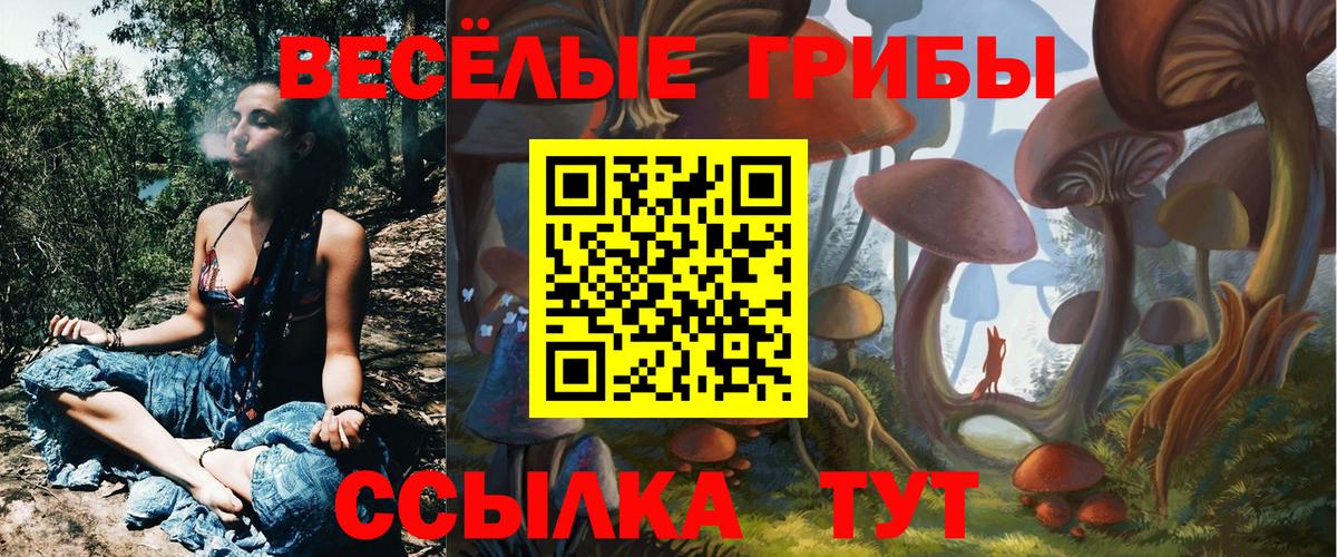 Галлюциногенные грибы Psilocybine cubensis  Псилоцибиновые грибы MAGIC MUSHROOMS  Сарапул  Вход с VPN 